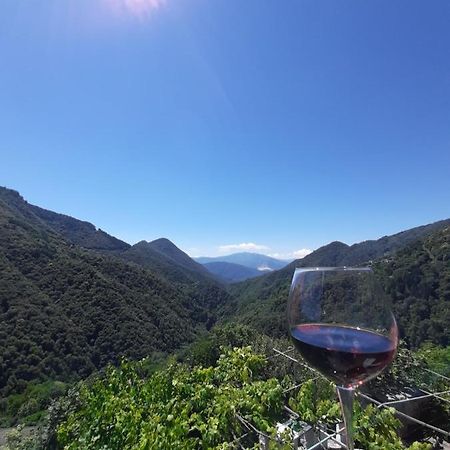 B&B La Locanda Del Cinghiale Aurano 外观 照片