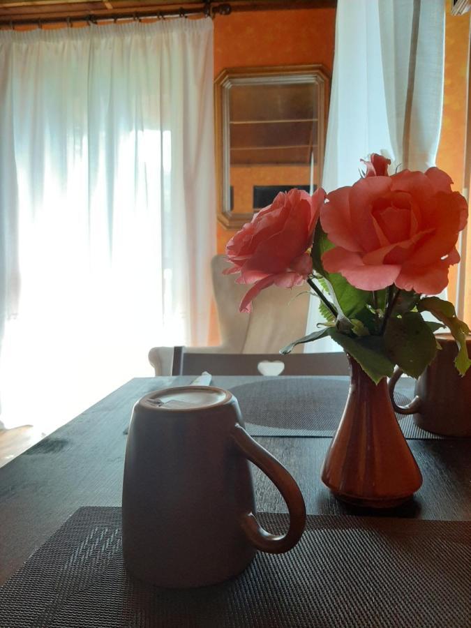 B&B La Locanda Del Cinghiale Aurano 外观 照片