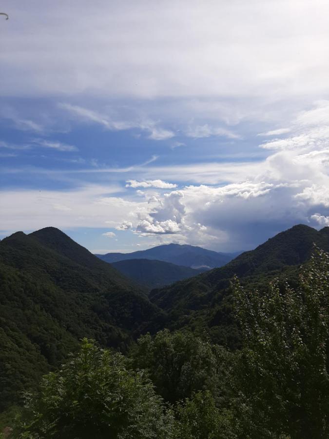 B&B La Locanda Del Cinghiale Aurano 外观 照片