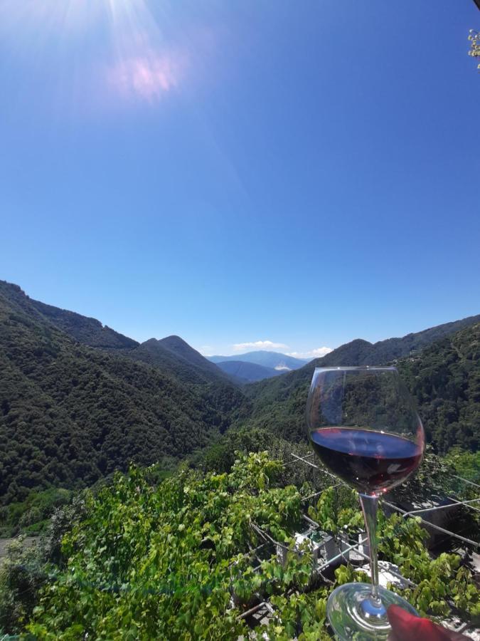 B&B La Locanda Del Cinghiale Aurano 外观 照片