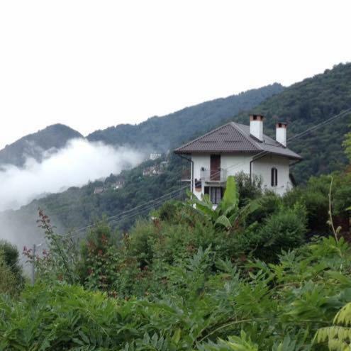 B&B La Locanda Del Cinghiale Aurano 外观 照片